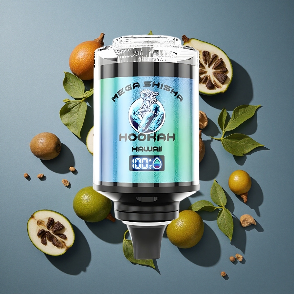 Hawaii JNR Mega Shicha 100000 Puffs vente en gros Belgique 60ml Capacité Type-C