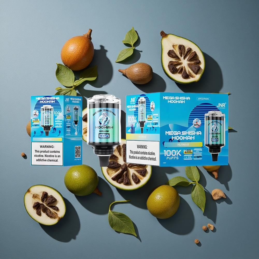 Hawaii JNR Mega Shicha 100000 Puffs vente en gros Belgique 60ml Capacité Type-C