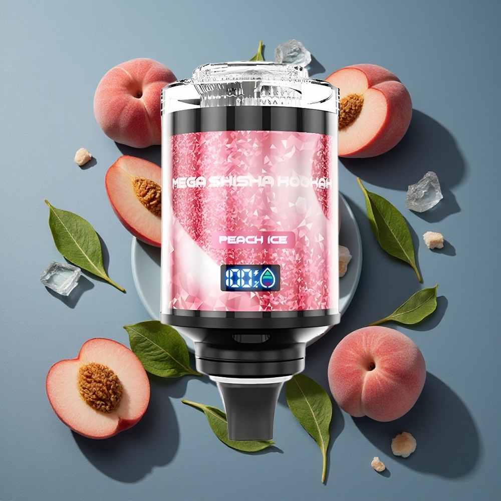 Pêche Glacée JNR Mega Shisha Hookah 100K Puffs vente en gros Belgique Écran Intelligent et Batterie 2200mAh