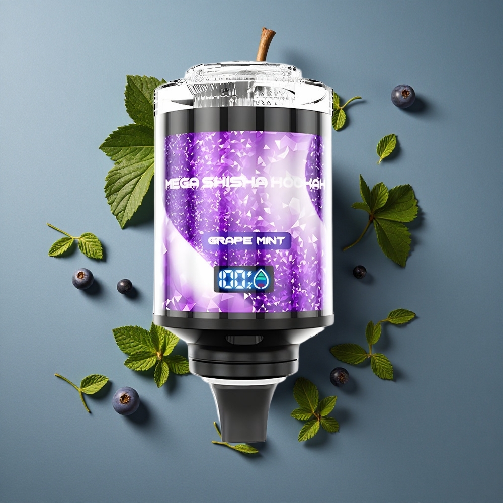Raisin Menthe JNR Mega Shisha Hookah 100K Puffs vente en gros Belgique Type-C Charge Rapide