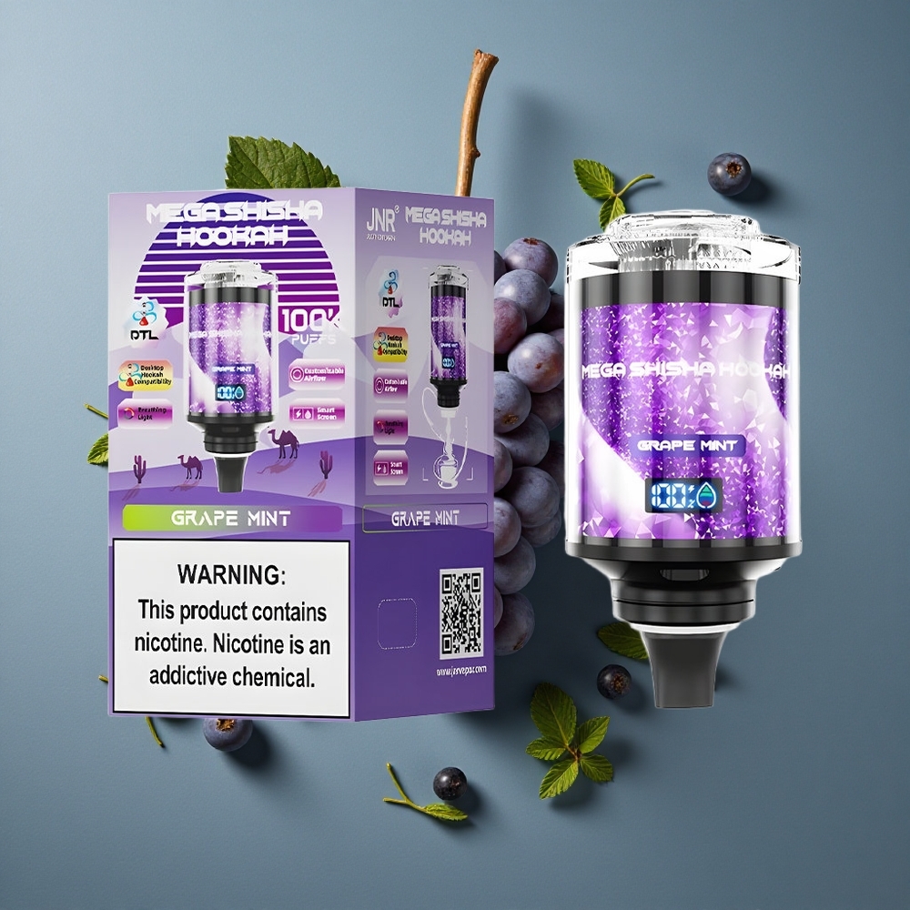 Raisin Menthe JNR Mega Shisha Hookah 100K Puffs vente en gros Belgique Type-C Charge Rapide