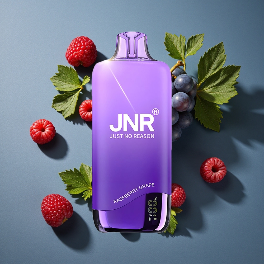 Framboise Raisin JNR Rainbow 10500 Puffs vente en gros Belgique 18ml Réservoir