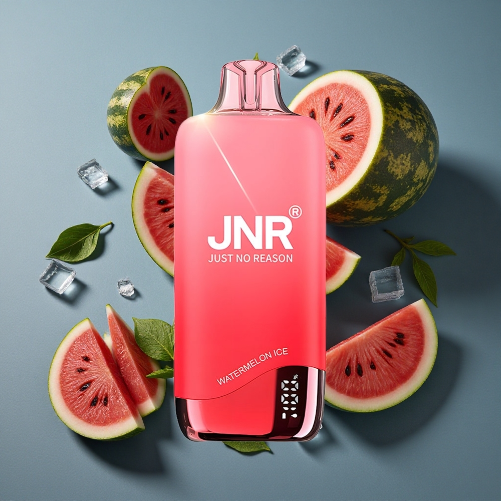 Pastèque Glacée JNR Rainbow 10500 Puffs vente en gros Belgique 18ml Réservoir