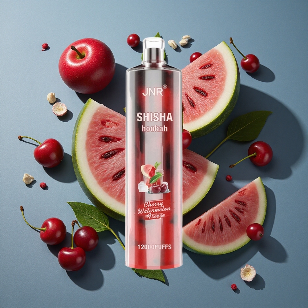 Cerise Pastèque Glacée JNR Shisha Hookah 12000 Puffs vente en gros Belgique 750mAh 24ml