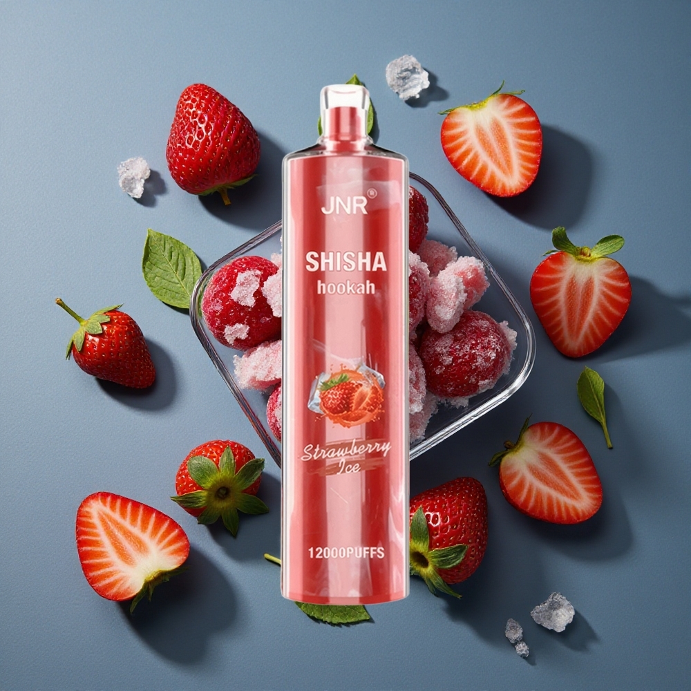 Fraise Glacée JNR Shisha Hookah 12000 Puffs 24ml vente en gros Belgique Type-C