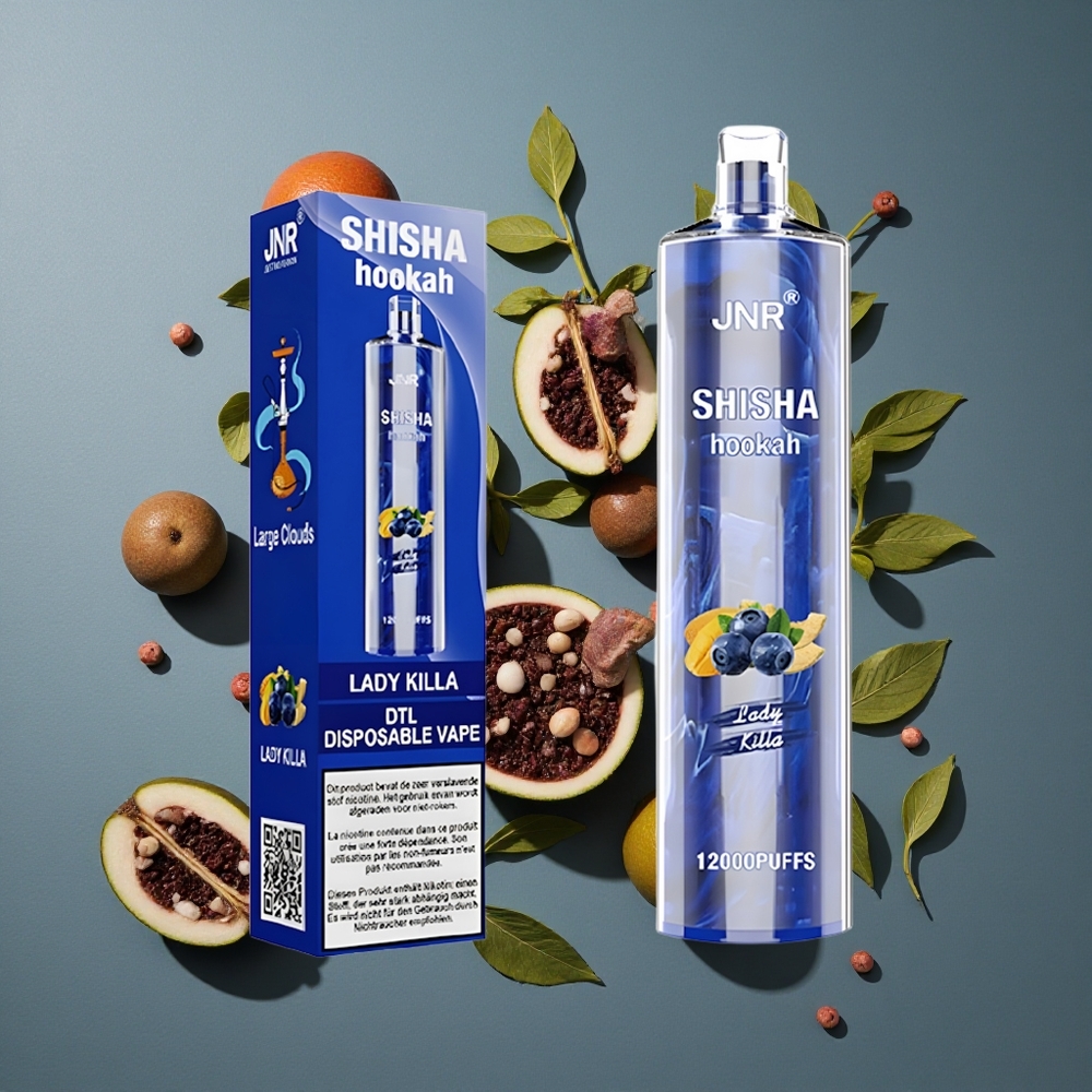 Lady Killa JNR Shisha Hookah 12000 Puffs 24ml vente en gros Belgique 0% 2% Nicotine