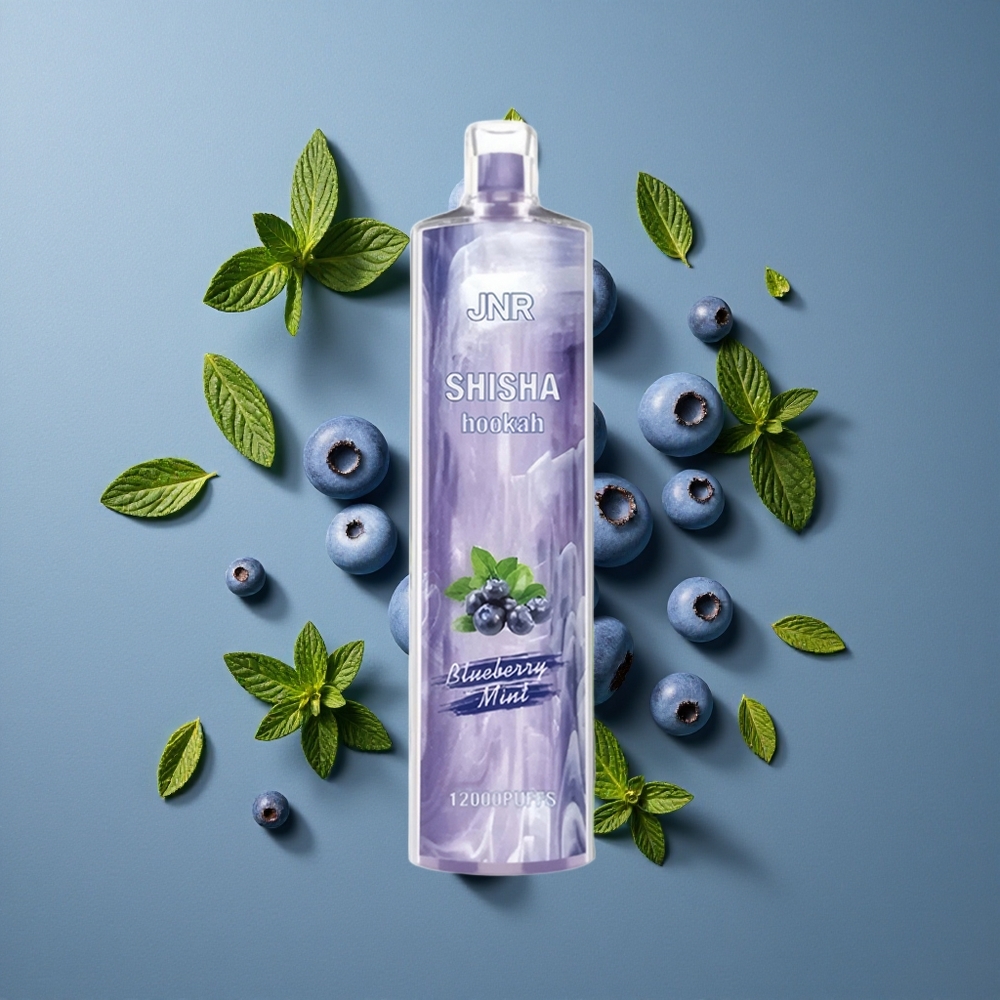 Menthe Myrtille JNR Shisha 12000 Puffs vente en gros Belgique 24ml 750mAh Type-C