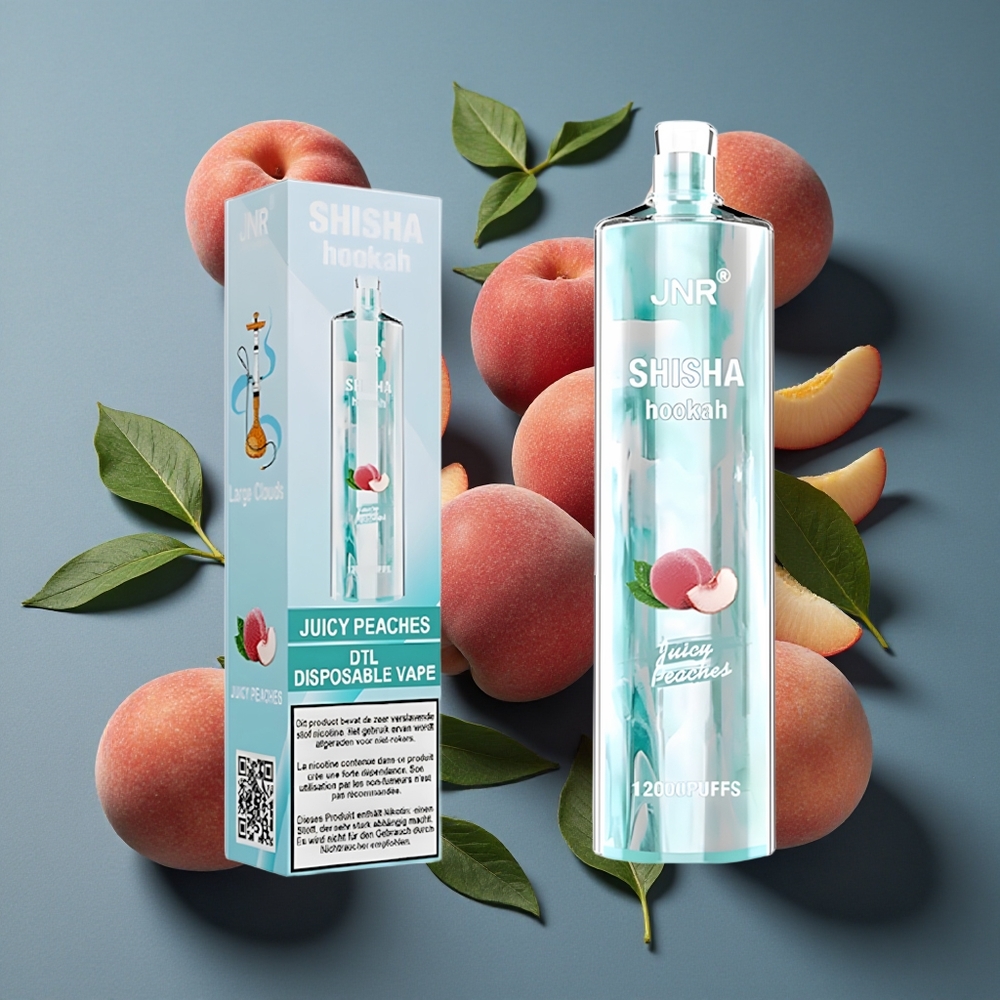 Pêches Juteuses JNR Shisha Hookah 12000 Puffs vente en gros Belgique 24ml/750mAh
