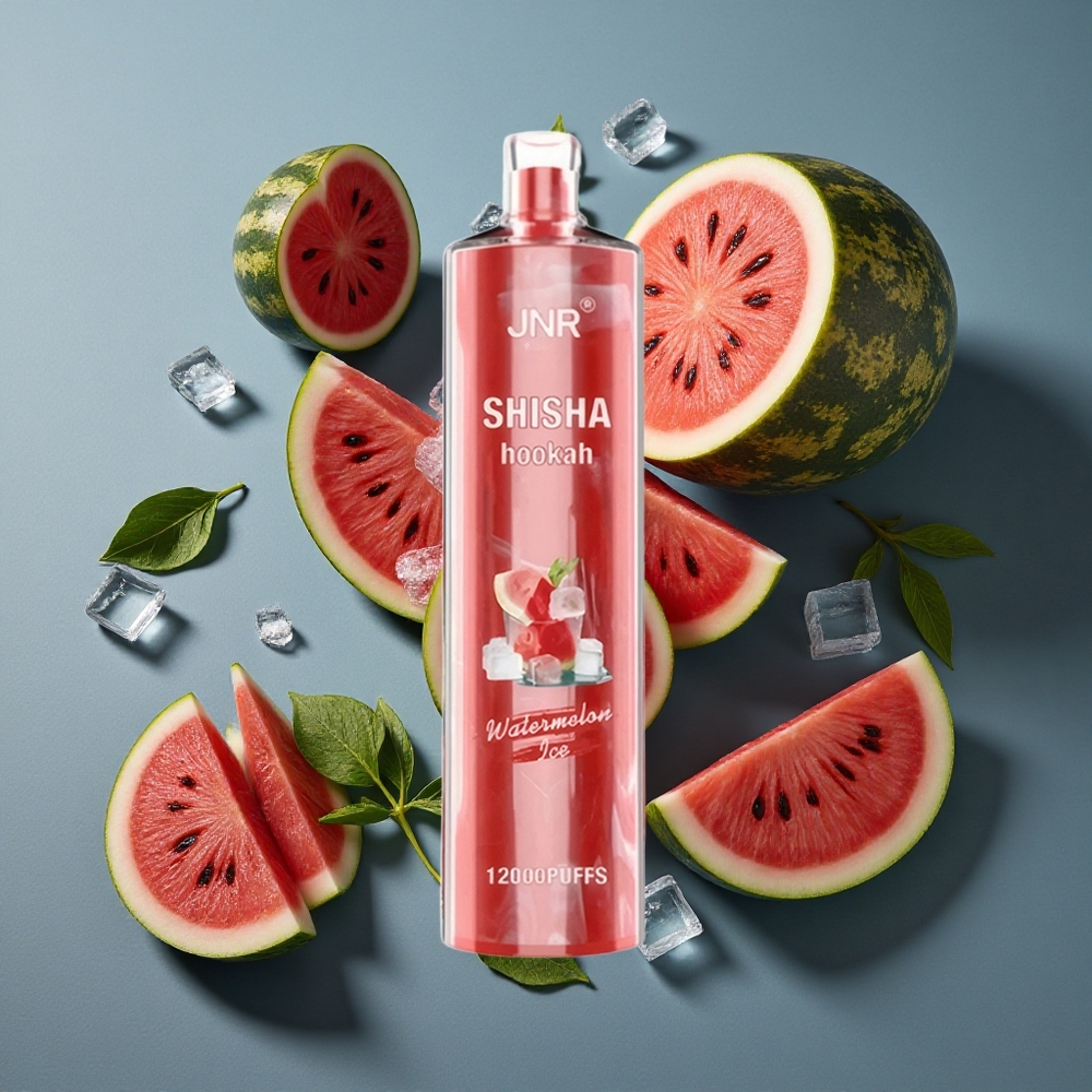 Pastèque Glacée JNR Shisha Hookah 12000 Puffs 24ml vente en gros Belgique Type-C