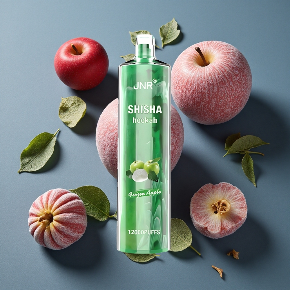 Pomme Glacée JNR Shisha Hookah 12000 Puffs 24ml vente en gros Belgique