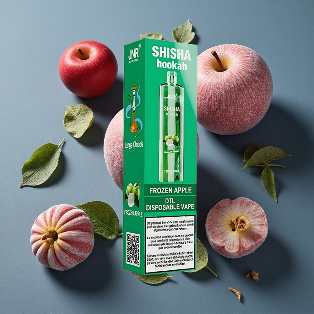 Pomme Glacée JNR Shisha Hookah 12000 Puffs 24ml vente en gros Belgique
