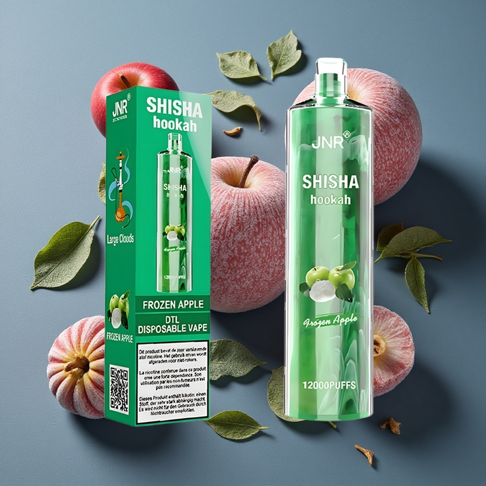 Pomme Glacée JNR Shisha Hookah 12000 Puffs 24ml vente en gros Belgique
