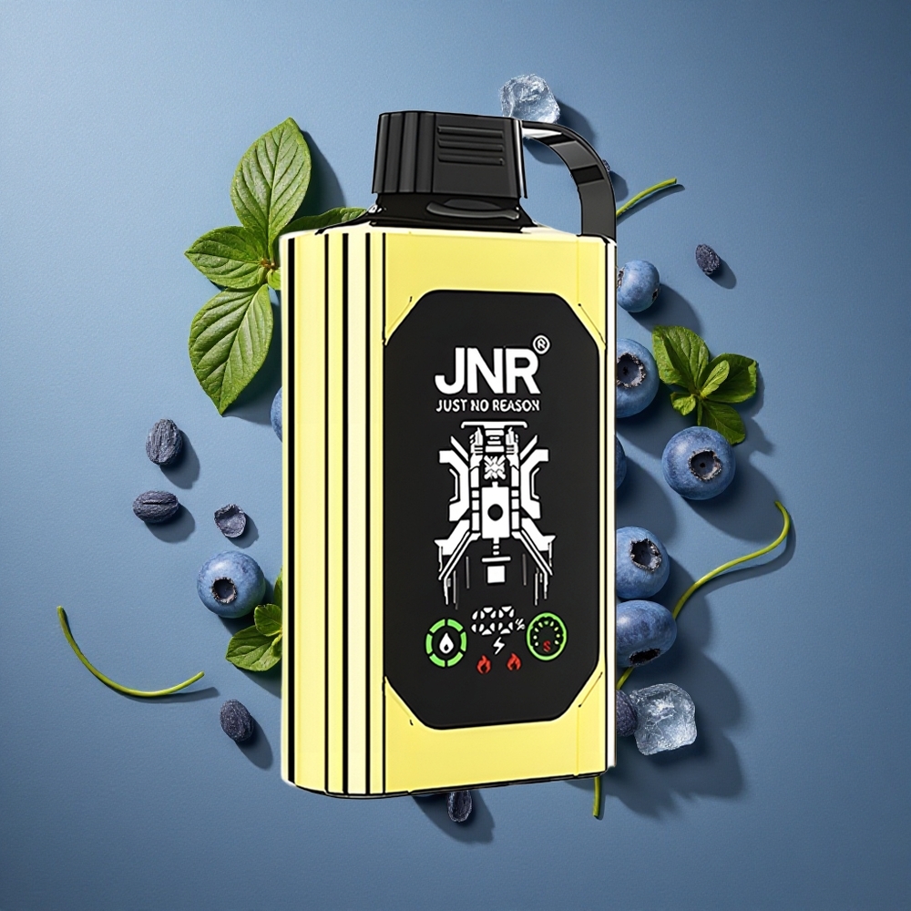 Glaciale Myrtille JNR Shisha Hookah Box 20500 Puffs HD Display 25ml vente en gros Belgique