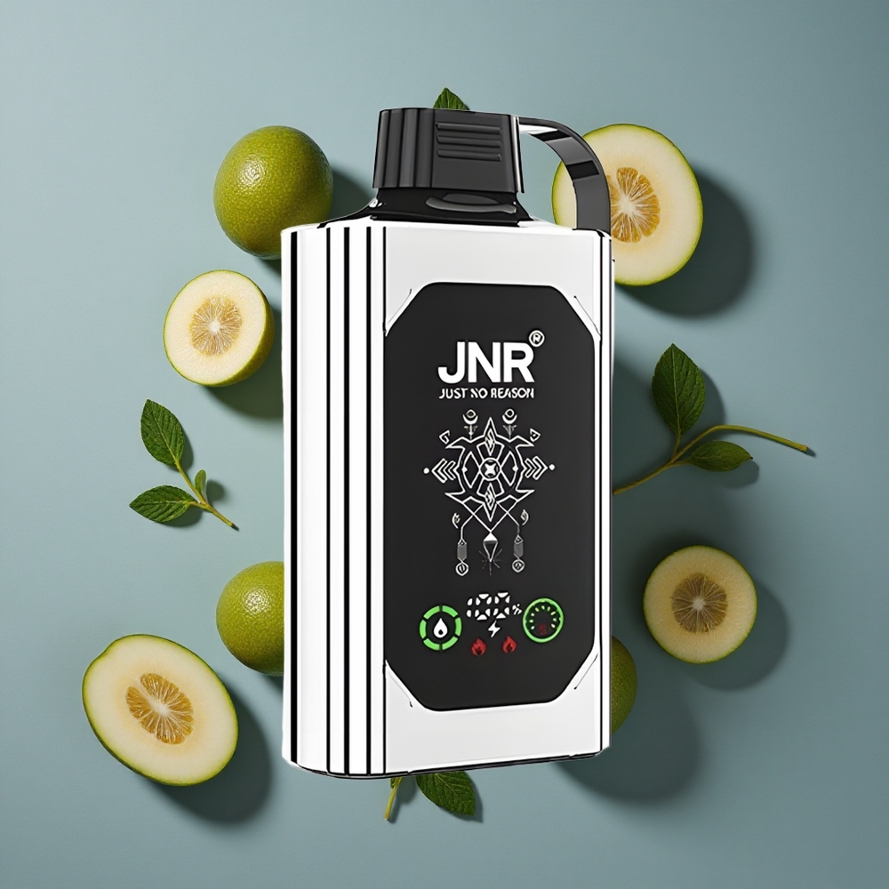 Melon Double Menthe JNR Shisha Hookah Box 20500 Puffs Affichage HD vente en gros Belgique