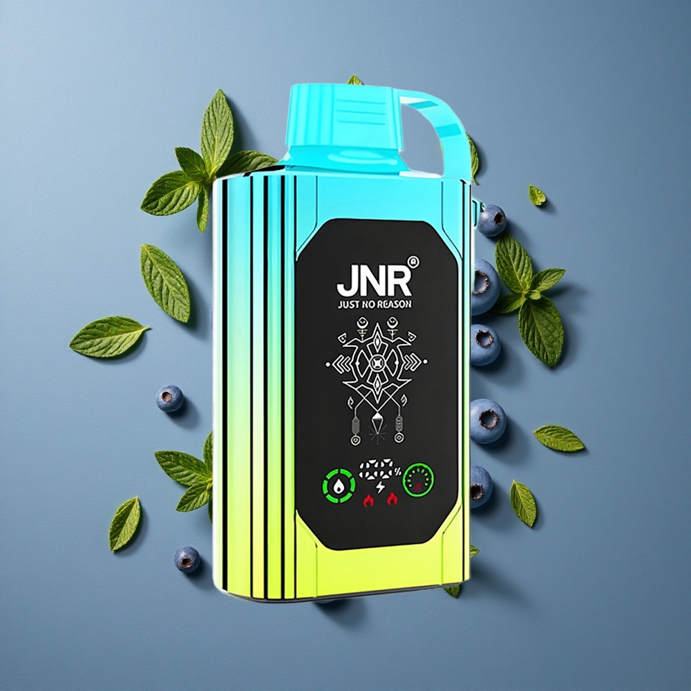 Myrtille Menthe JNR Shisha Hookah Box 20500 Puffs vente en gros Belgique Ecran HD Batterie 1000mAh